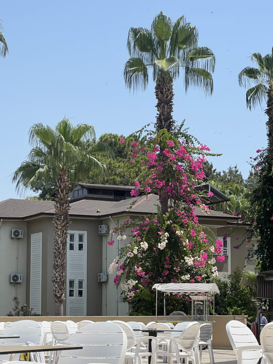 Gartenanlage Club Sidelya Hotel