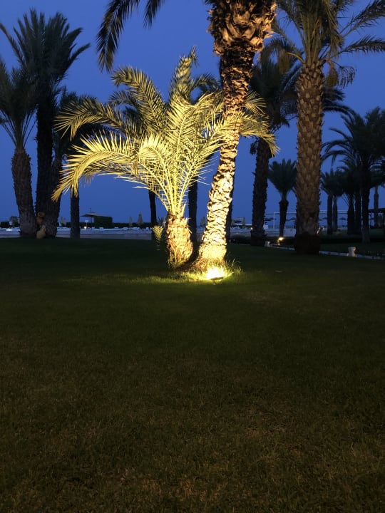 Gartenanlage Iberostar Waves Averroes