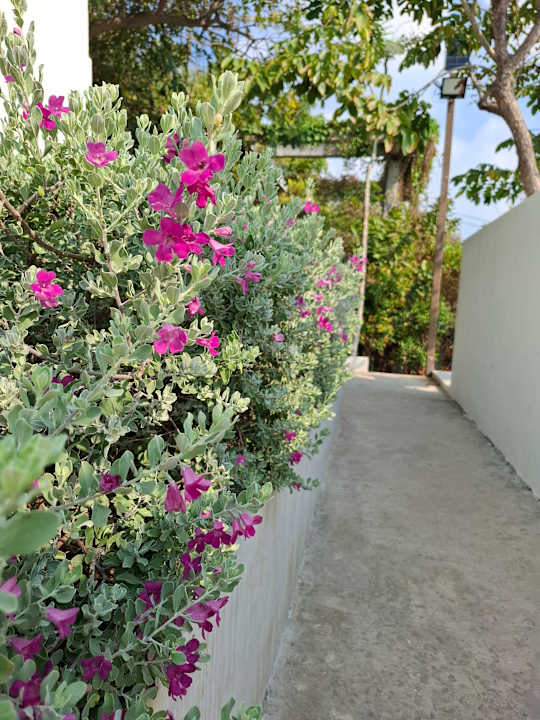 Gartenanlage Pichcha Kohlarn