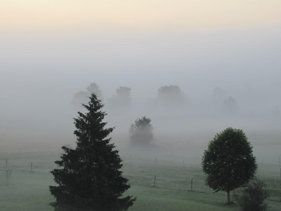 Ausblick Landhotel Alte Mühle