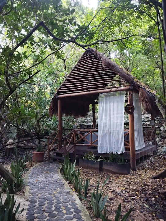 Gartenanlage Iberostar Waves Tucan