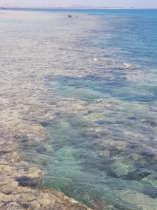 Strand Makadi Spa - Adults only