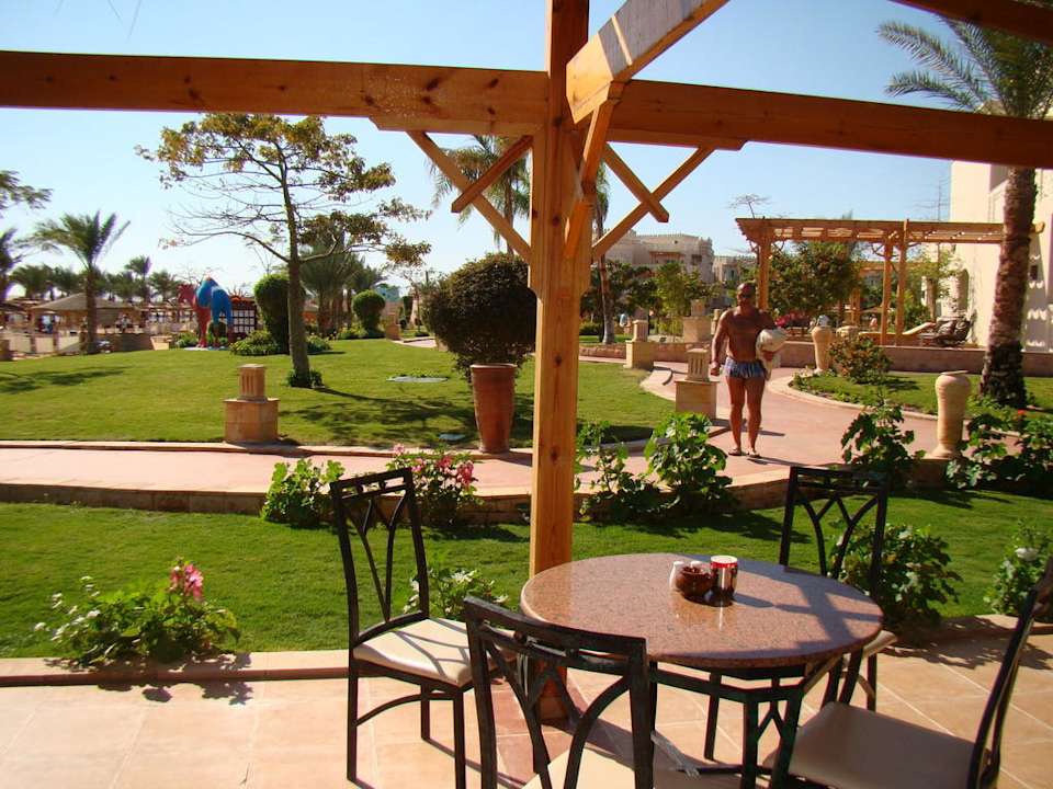 Бар Pickalbatros Palace Resort