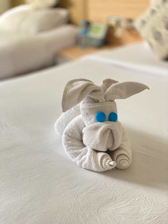 Zimmer Panorama Bungalows Resort El Gouna