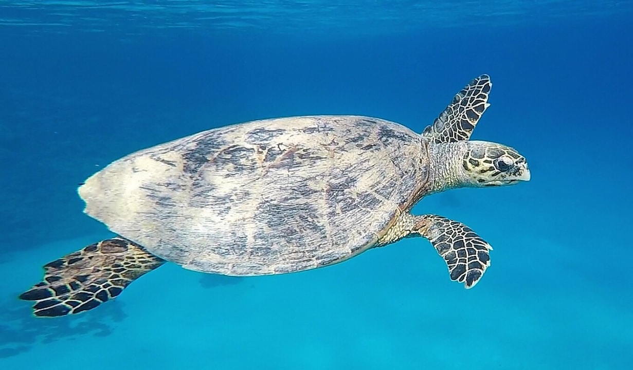 Sport & Freizeit Grand Makadi