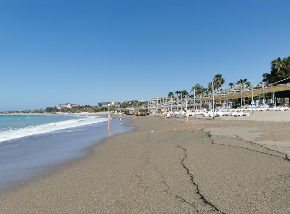 Strand Arycanda Kirman Premium