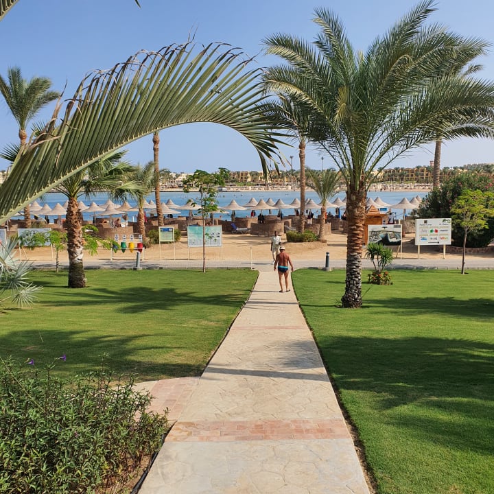 Gartenanlage Steigenberger Coraya Beach - Adults only