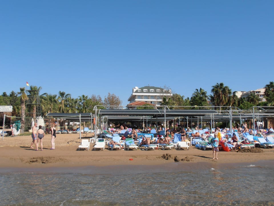 Strandabschnitt vom Hotel Trendy Palm Beach (Adults Only, 16+)
