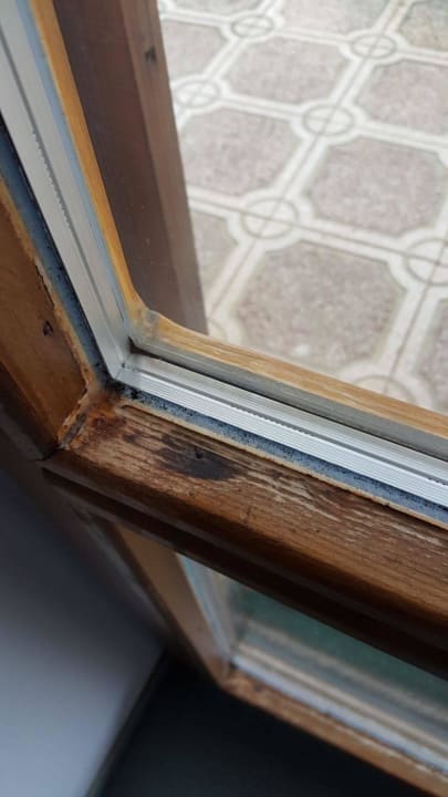 Verschimmelte, verrottete Fenster Pension Sonnleitn