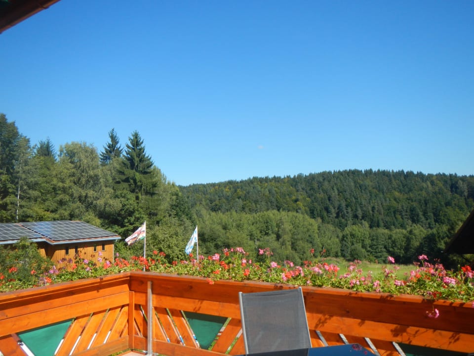 Aussicht Gästehaus Sigl