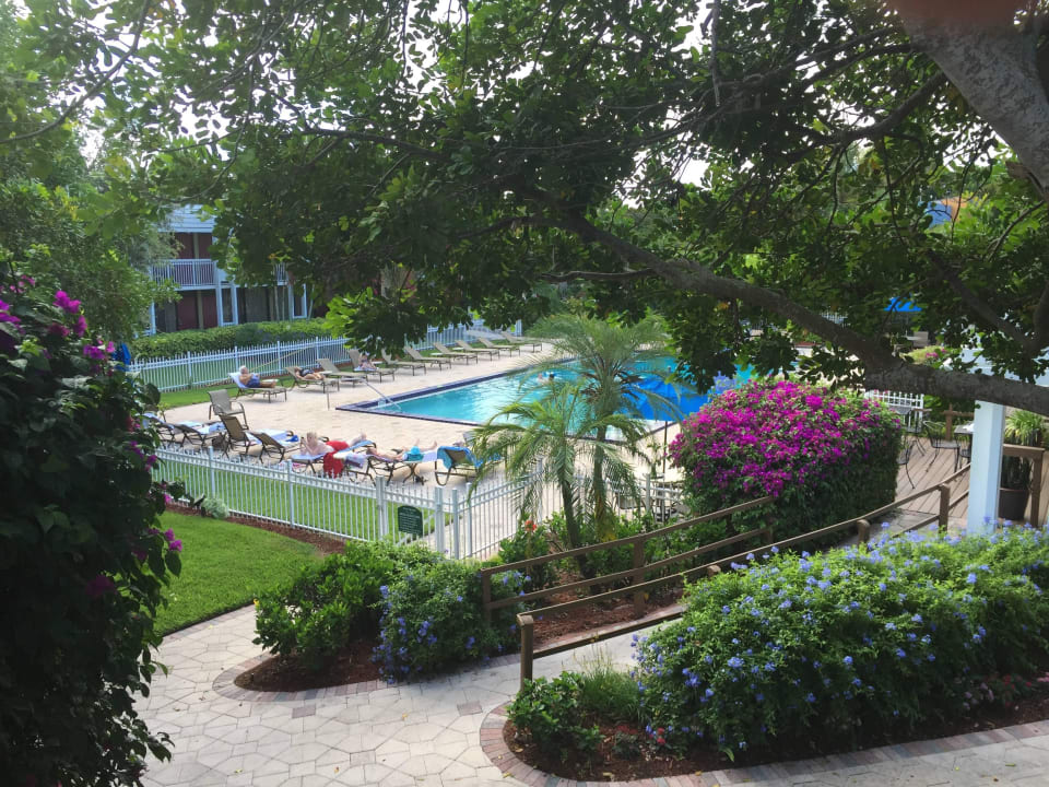 Pool Hotel Ramada Inn of Naples