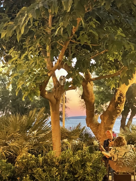 Gartenanlage allsun Hotel Marena Beach