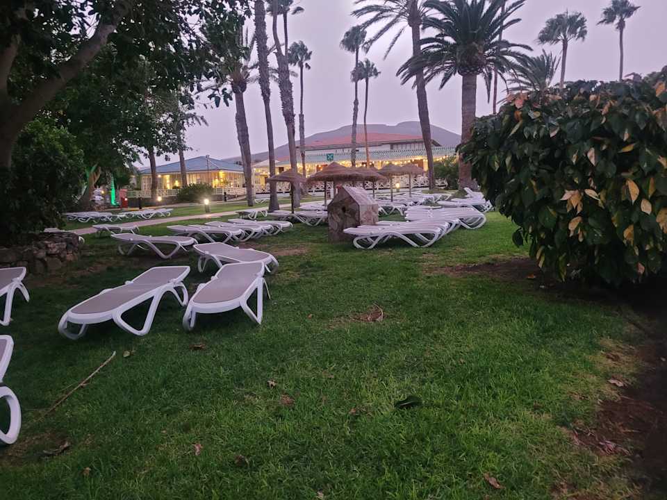 Gartenanlage Aldiana Club Fuerteventura
