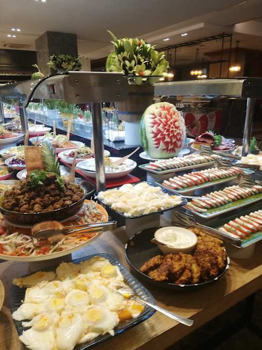 Gastro Seashell Vega