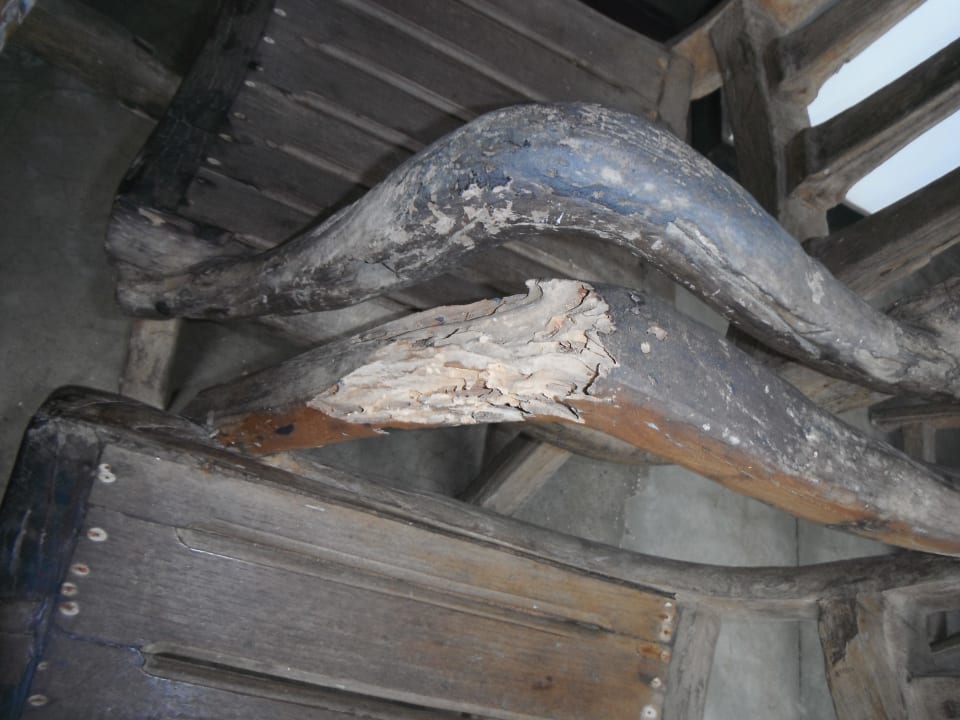 Ein Stuhl vom Holzwurm zerfressen Earl’s Reef Beruwala