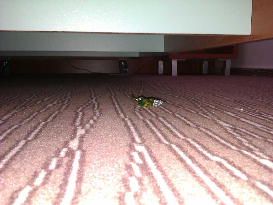 Papiere unter dem Bett Academic Hotel & Congress Centre A.S.