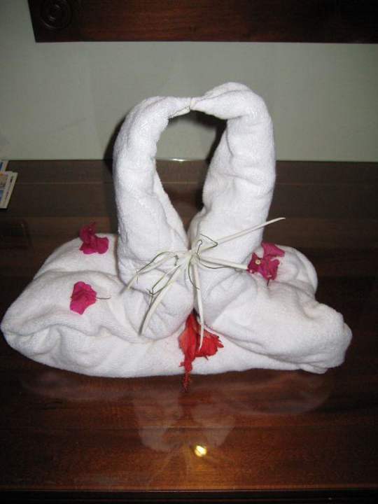 Handtuchschwan Grand Palladium Select Bávaro Resort & Spa