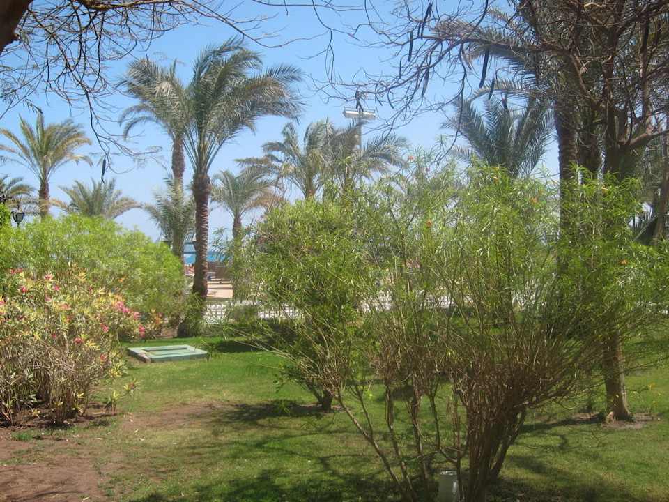 Garten The Grand Hotel Hurghada