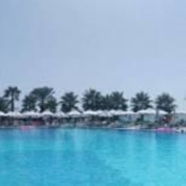 Blick vom Pol auf das Meer  Paloma Oceana