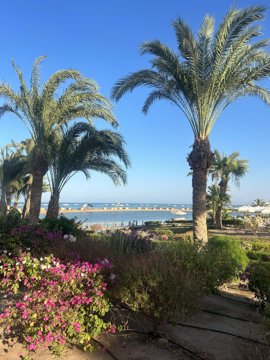 Ausblick Mövenpick Resort & Spa El Gouna