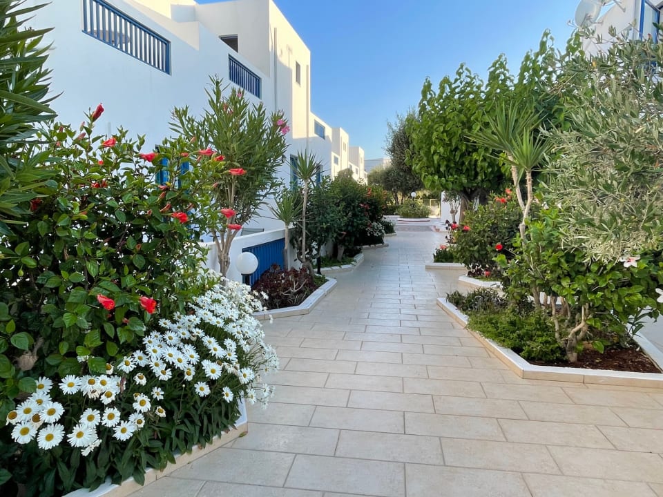 Gartenanlage Hotel Hara Ilios Village