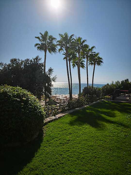 Gartenanlage Arum Barut Collection