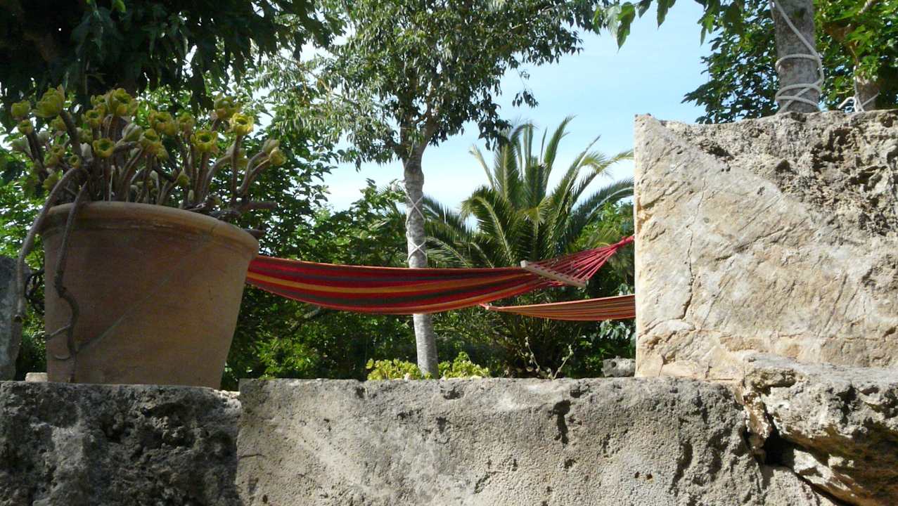 Zona Hamacas Finca Es Palmer