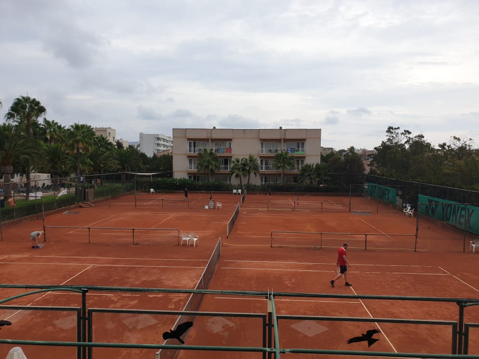Ausblick Club Simó Hotel by Senator