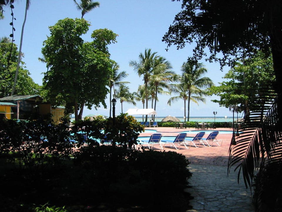 Weg zum Strand whala!boca chica