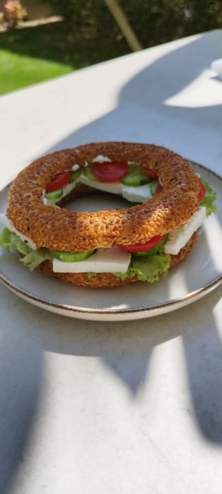 Gastro Acanthus Cennet Barut Collection