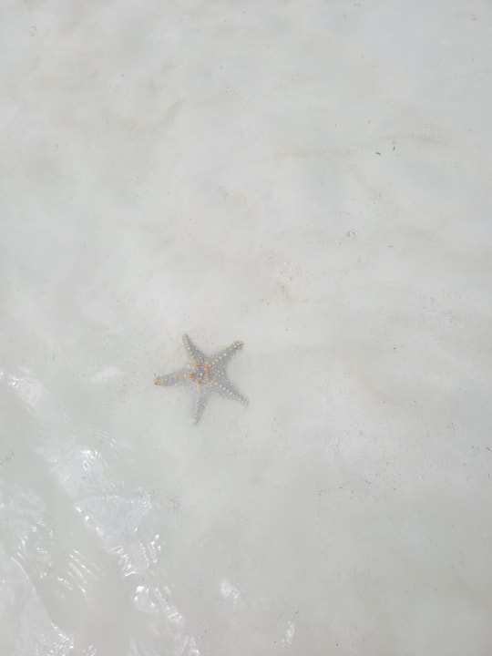 Strand Neptune Pwani Beach Resort & Spa
