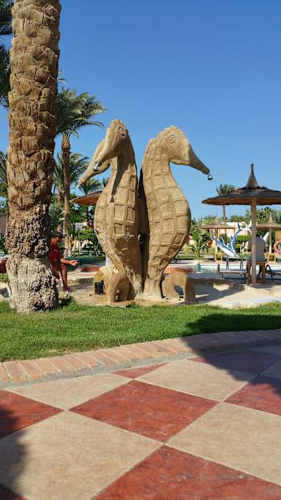 Pool Beach Albatros Resort