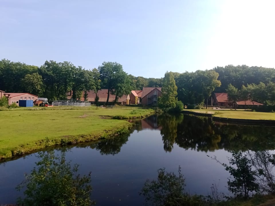 Ausblick Golfpark Gut Düneburg