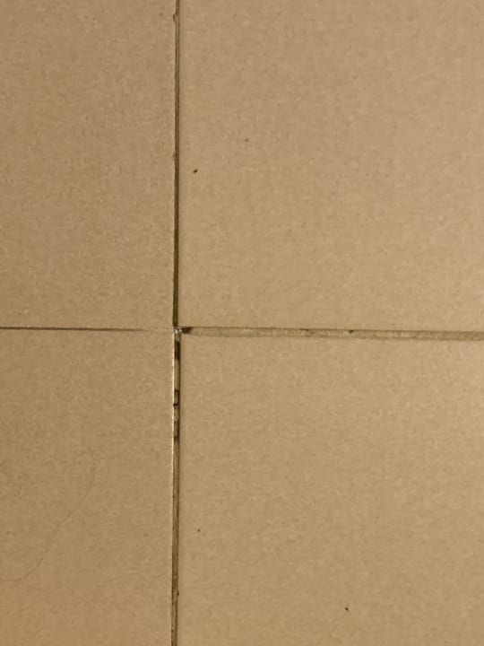 Zimmer blau punta reina