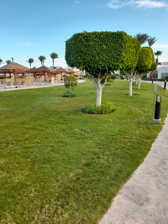 Gartenanlage SUNRISE Royal Makadi Resort