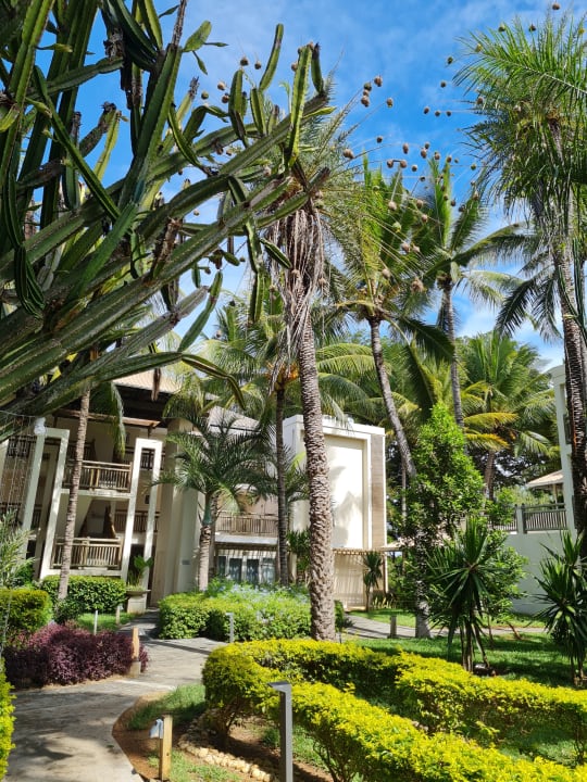 Gartenanlage Lagoon Attitude - Adults only