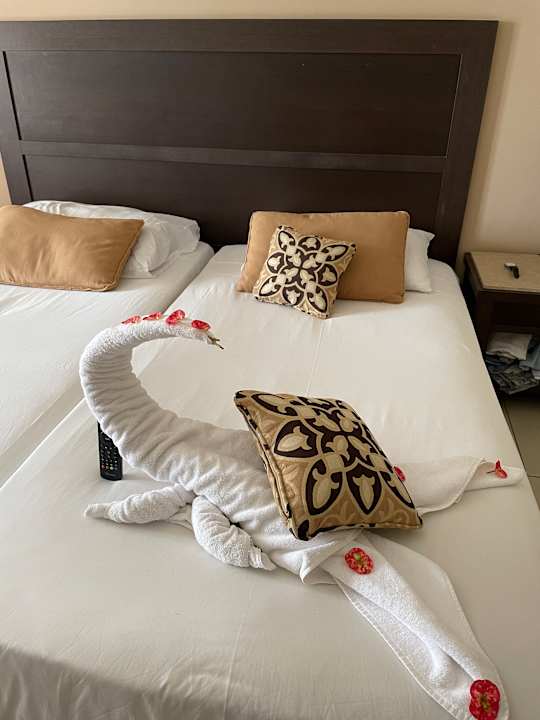 Zimmer Jaz Dar EL Madina