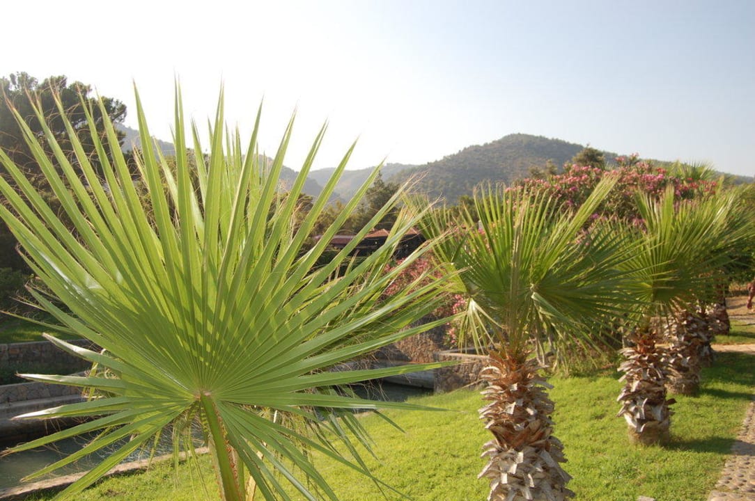 Unser Weg zurück vom Strand Mia Resorts Pinepark Holiday Club