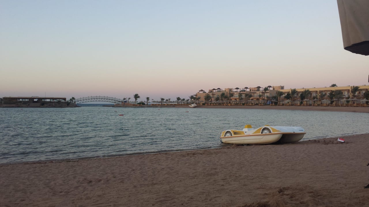 The beach  Desert Rose