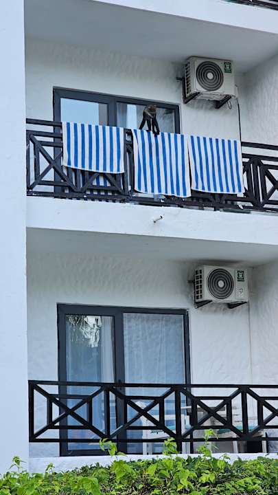 Außenansicht Diani Sea Resort