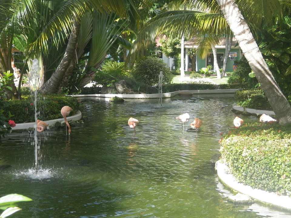 Tiere im Hotel Grand Palladium Select Bávaro Resort & Spa