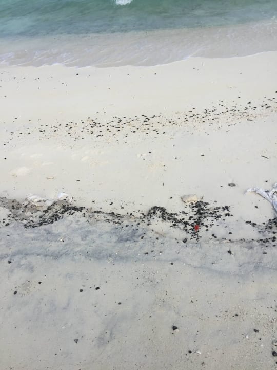 Kleine Steine und Korallen Summer Island Maldives