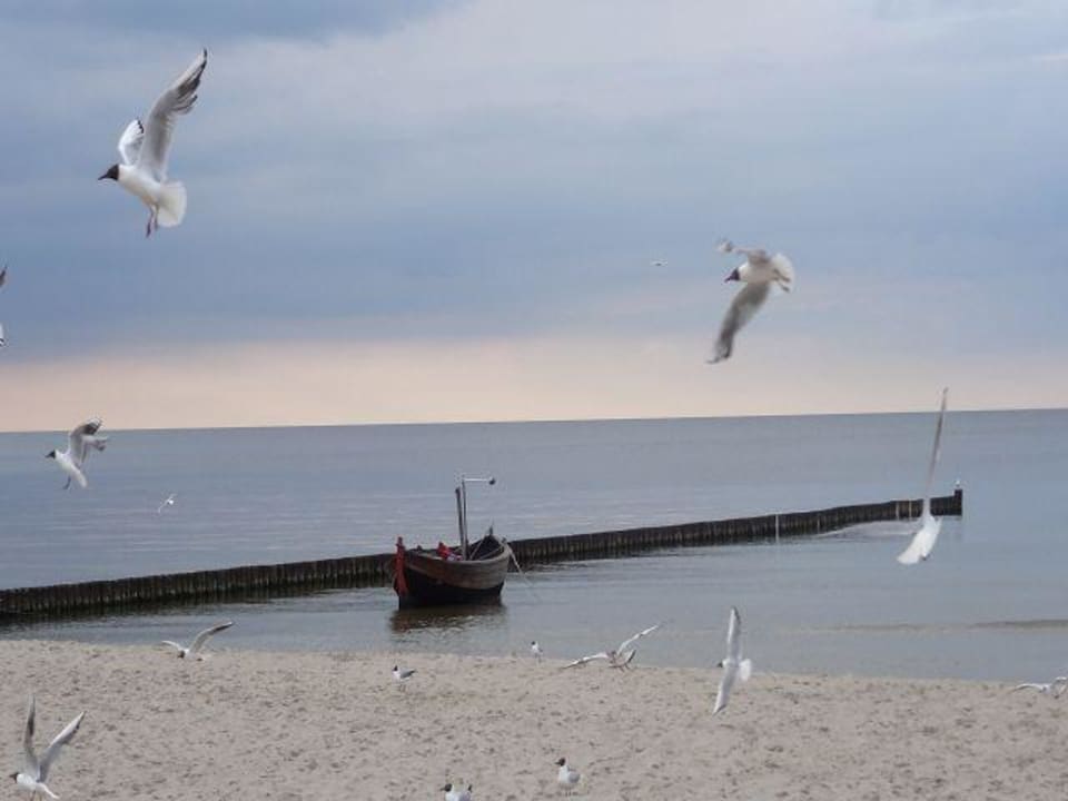 Am Strand 3 Minuten Fußweg Hotel Garni Seeschlösschen
