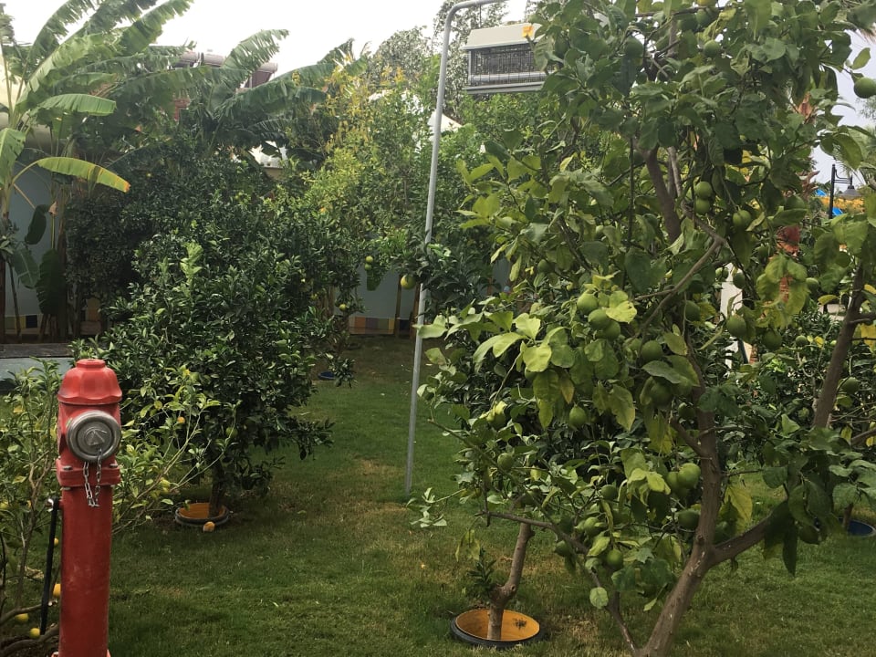 Obst Belek Beach Resort Hotel