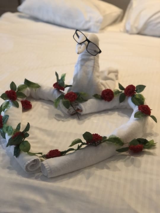 Zimmer Hotel Delphin Imperial