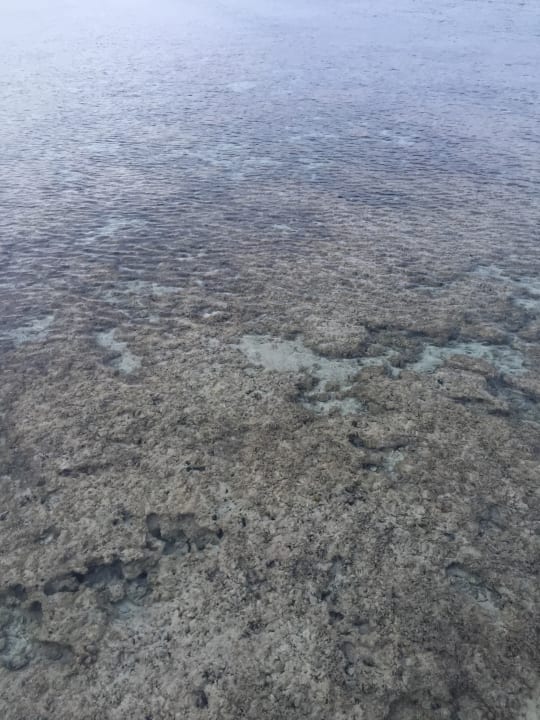 Riff Tropitel Sahl Hasheesh