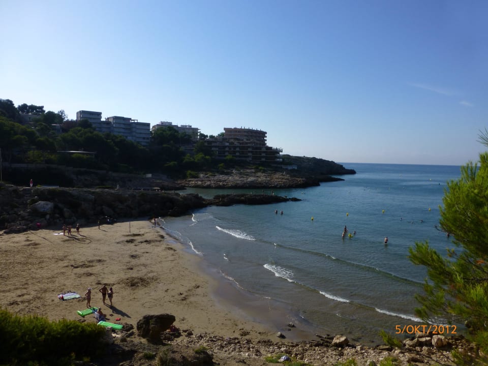 Blick zum Hotelstrand Hotel Cala Font