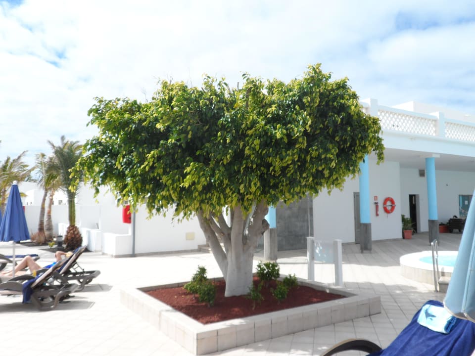 Blick auf die vier Duschen und den WC Bereich Hotel Las Costas