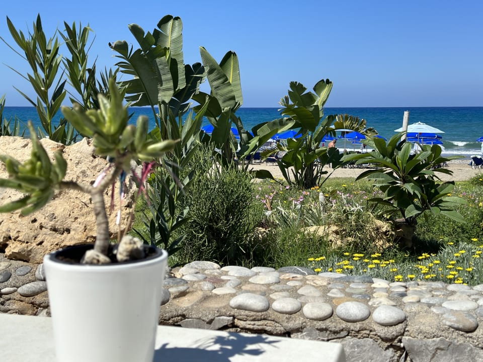 Strand Hotel Kathrin Beach