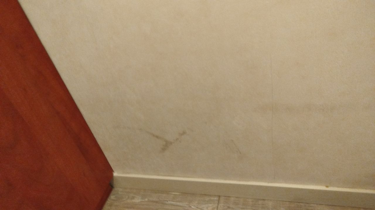 Zimmer EuroParcs Noordwijkse Duinen